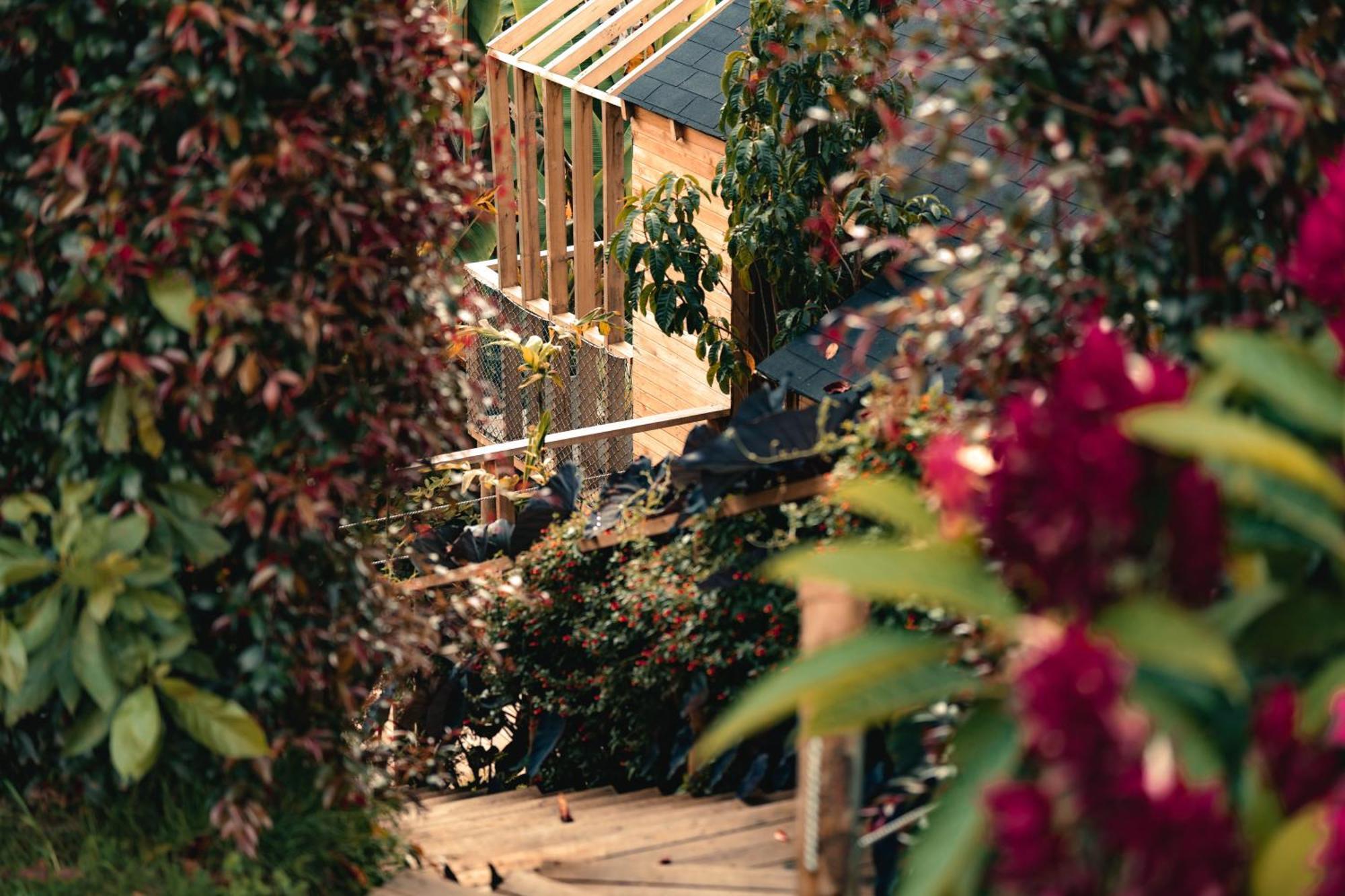 Hotel Teva Glamping & Retreat Rionegro Exterior foto